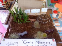 /album/fotogaleria-inicio4/dsc01448-jpg/
